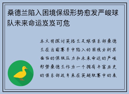桑德兰陷入困境保级形势愈发严峻球队未来命运岌岌可危