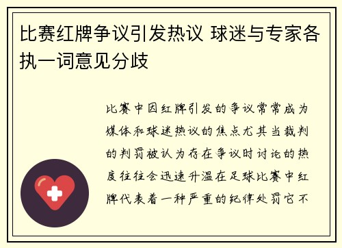 比赛红牌争议引发热议 球迷与专家各执一词意见分歧