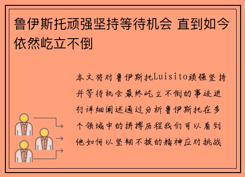 鲁伊斯托顽强坚持等待机会 直到如今依然屹立不倒