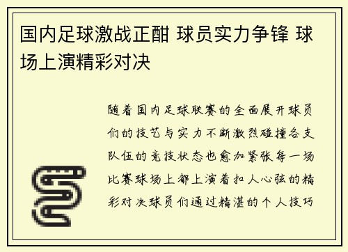 国内足球激战正酣 球员实力争锋 球场上演精彩对决